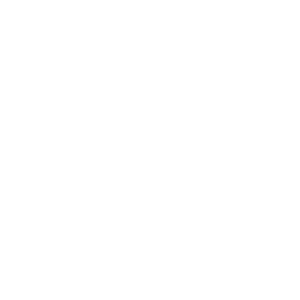 call sandwich white logo for call sandwich website 2